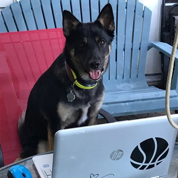 Offers‎ Welcome - Picture 7 of 10